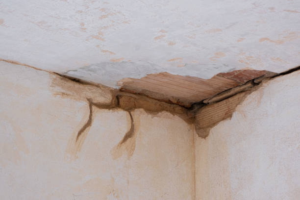 Best Water damage restoration near me  in Ventnor City, NJ
