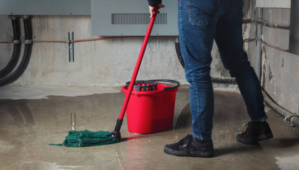 Best 24/7 water damage repair  in Ventnor City, NJ