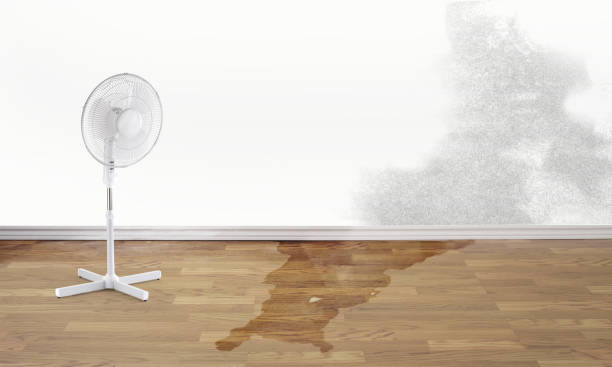 Best Water damage restoration near me  in Ventnor City, NJ