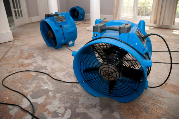 Best Local water damage restoration  in Ventnor City, NJ