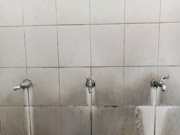Best Water damage cleanup near me  in Ventnor City, NJ